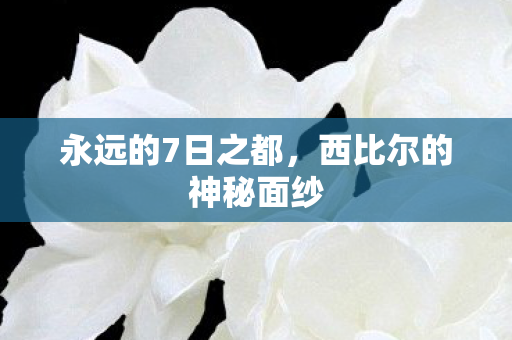 永远的7日之都，西比尔的神秘面纱