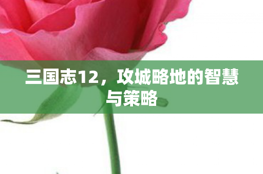 三国志12，攻城略地的智慧与策略