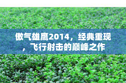 傲气雄鹰2014，经典重现，飞行射击的巅峰之作