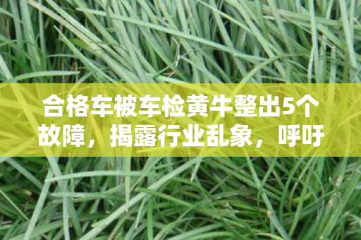 合格车被车检黄牛整出5个故障,揭露行业乱象,呼吁加强监管 合格车被车检黄牛整出5个故障,揭露行业乱象,呼吁加强监管