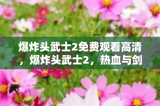 爆炸头武士2免费观看高清，爆炸头武士2，热血与剑影的华丽交响曲