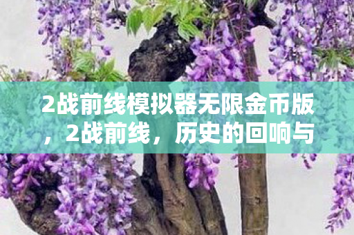 2战前线模拟器无限金币版，2战前线，历史的回响与反思