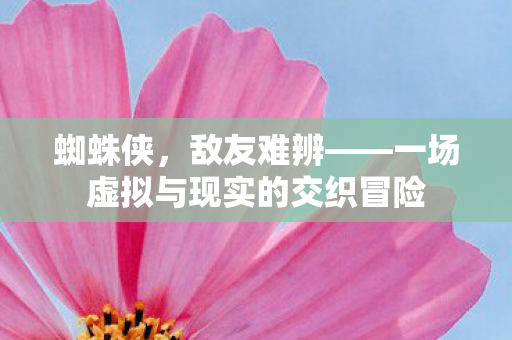 蜘蛛侠，敌友难辨——一场虚拟与现实的交织冒险