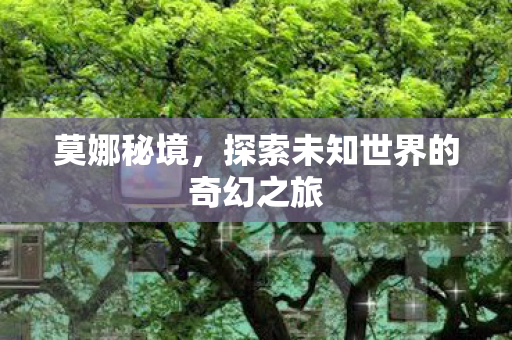 莫娜秘境，探索未知世界的奇幻之旅