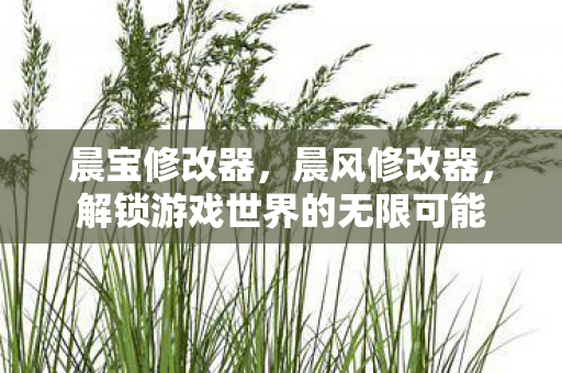 晨宝修改器,晨风修改器,解锁游戏世界的无限可能 晨宝修改器,晨风修改器,解锁游戏世界的无限可能