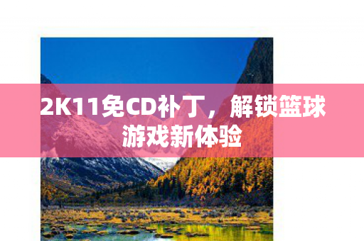 2K11免CD补丁，解锁篮球游戏新体验