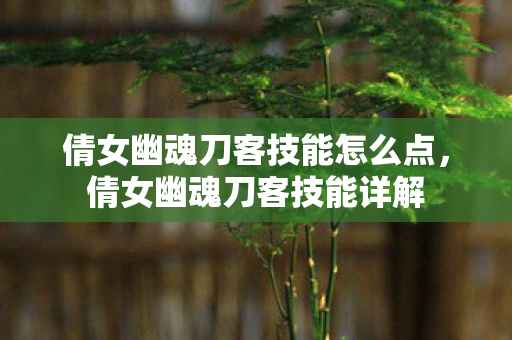 倩女幽魂刀客技能怎么点，倩女幽魂刀客技能详解