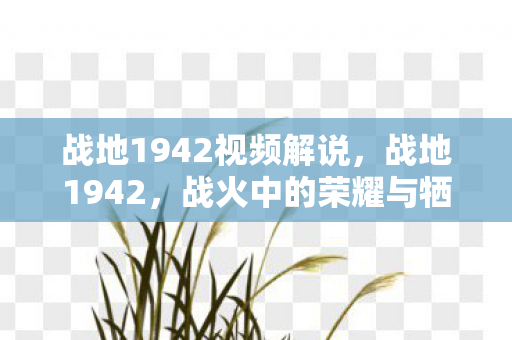战地1942视频解说，战地1942，战火中的荣耀与牺牲