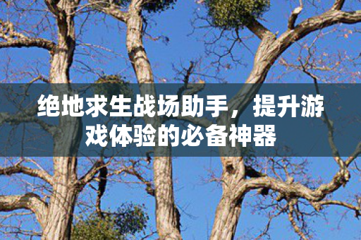 绝地求生战场助手，提升游戏体验的必备神器