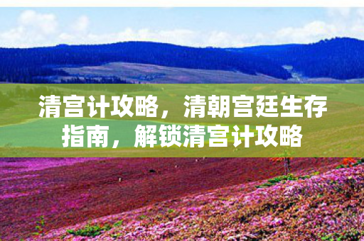 清朝宫廷生存指南图片