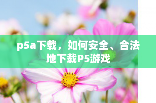 p5a下载，如何安全、合法地下载P5游戏