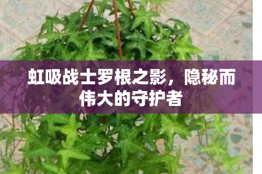 虹吸战士罗根之影,隐秘而伟大的守护者 虹吸战士罗根之影,隐秘而伟大的守护者