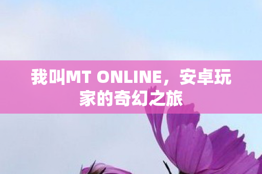 我叫MT ONLINE，安卓玩家的奇幻之旅