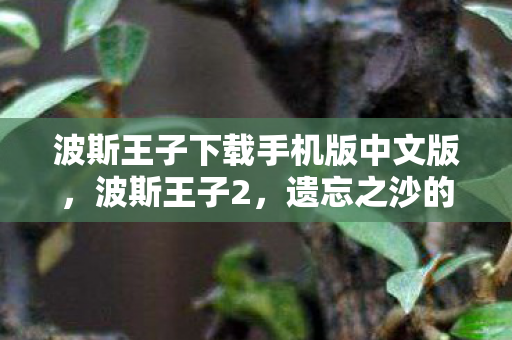 波斯王子下载手机版中文版，波斯王子2，遗忘之沙的传奇冒险