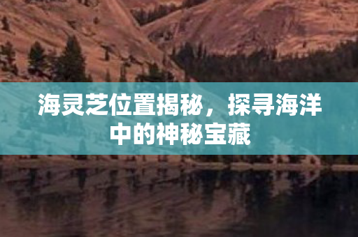 海灵芝位置揭秘，探寻海洋中的神秘宝藏