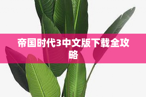 帝国时代3中文版下载全攻略