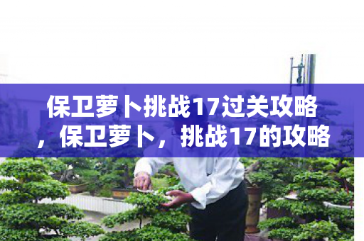 保卫萝卜挑战17过关攻略图片