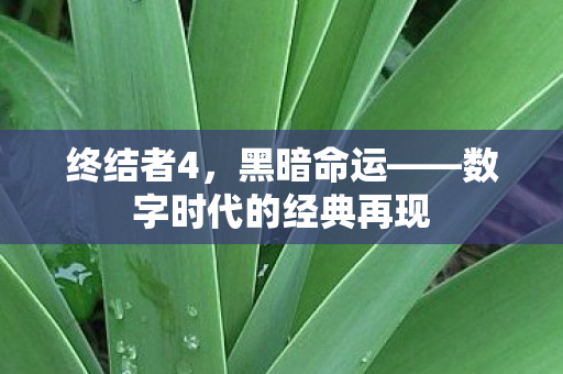 终结者4，黑暗命运——数字时代的经典再现