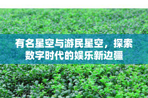 有名星空与游民星空，探索数字时代的娱乐新边疆