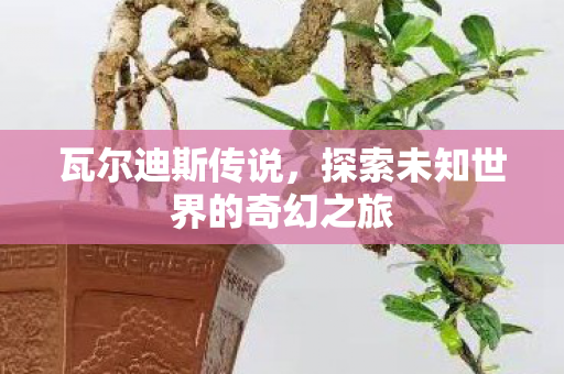 瓦尔迪斯传说，探索未知世界的奇幻之旅