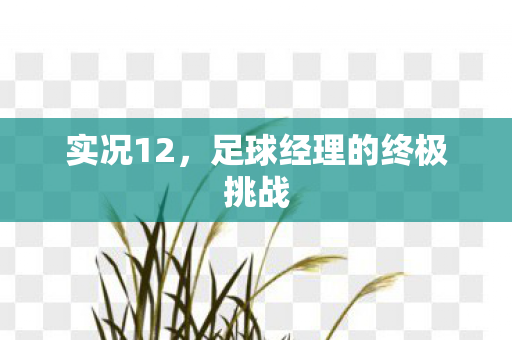 实况12，足球经理的终极挑战