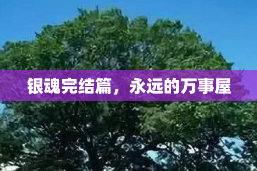 银魂完结篇，永远的万事屋