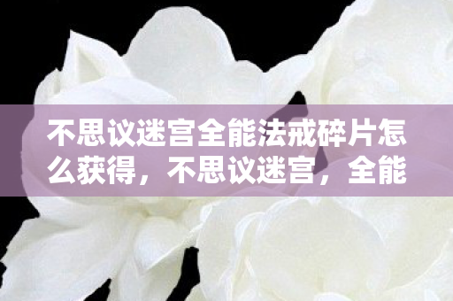 不思议迷宫全能法戒碎片怎么获得，不思议迷宫，全能法戒的奥秘