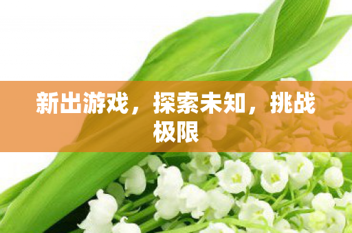 新出游戏,探索未知,挑战极限 新出游戏,探索未知,挑战极限