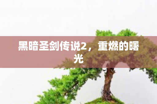 黑暗圣剑传说2，重燃的曙光