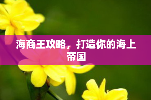 海商王攻略，打造你的海上帝国