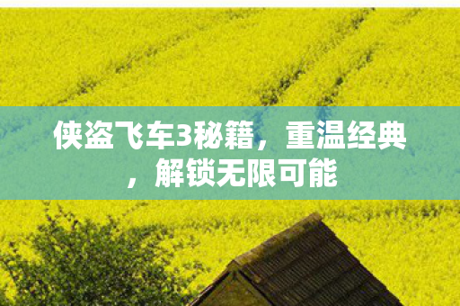 侠盗飞车3秘籍，重温经典，解锁无限可能