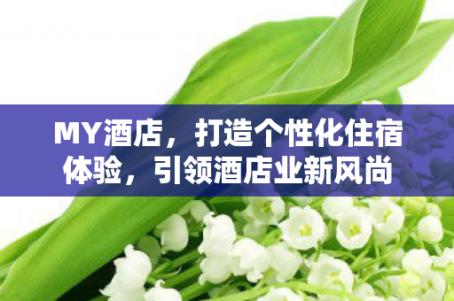 MY酒店，打造个性化住宿体验，引领酒店业新风尚