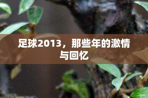 足球2013，那些年的激情与回忆
