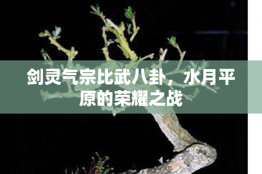 剑灵气宗比武八卦，水月平原的荣耀之战