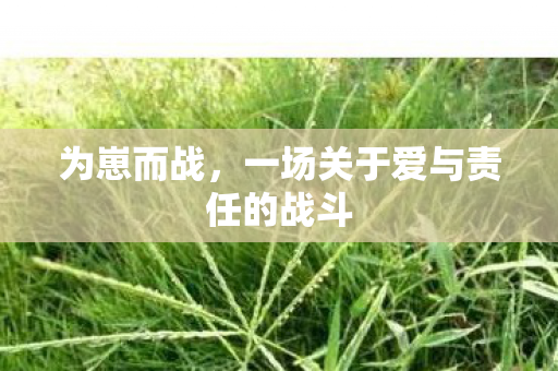 为崽而战，一场关于爱与责任的战斗