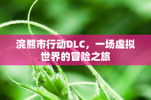 浣熊市行动DLC，一场虚拟世界的冒险之旅