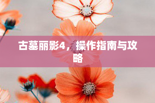 古墓丽影4，操作指南与攻略