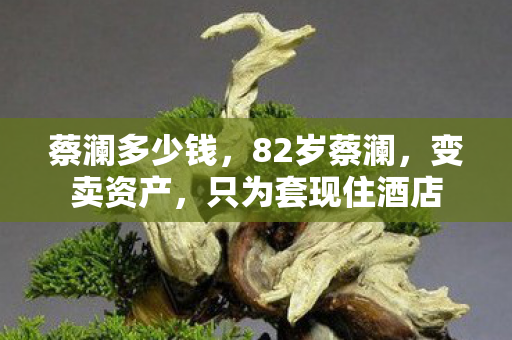 蔡澜多少钱，82岁蔡澜，变卖资产，只为套现住酒店