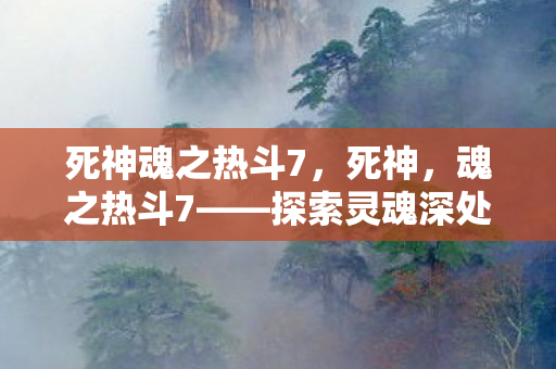 死神魂之热斗7，死神，魂之热斗7——探索灵魂深处的战斗艺术