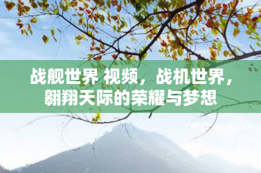 战舰世界 视频，战机世界，翱翔天际的荣耀与梦想