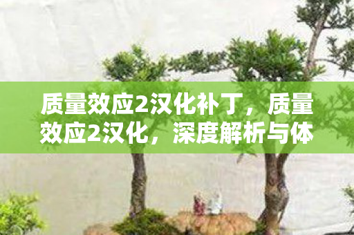 质量效应2汉化补丁，质量效应2汉化，深度解析与体验分享