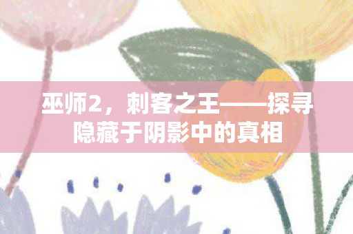 巫师2，刺客之王——探寻隐藏于阴影中的真相