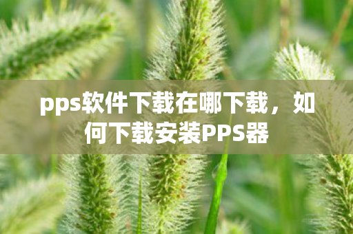 pps软件下载在哪下载图片