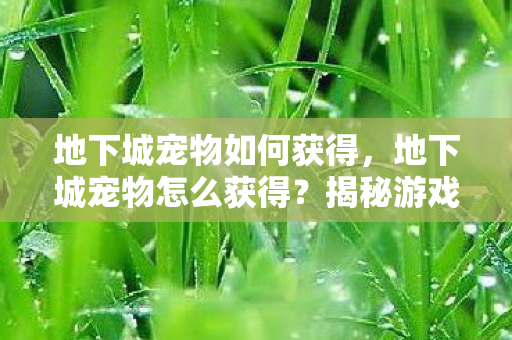 地下城宠物如何获得，地下城宠物怎么获得？揭秘游戏中的萌宠获取途径