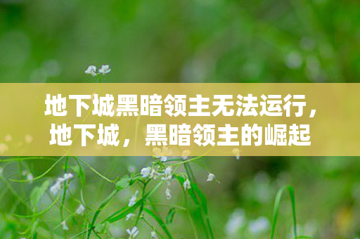 地下城黑暗领主无法运行图片