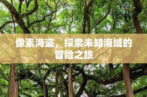 像素海盗，探索未知海域的冒险之旅