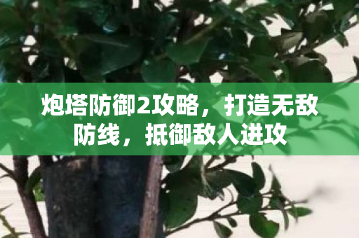 炮塔防御2攻略，打造无敌防线，抵御敌人进攻