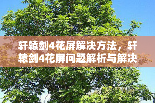轩辕剑4花屏解决方法，轩辕剑4花屏问题解析与解决指南