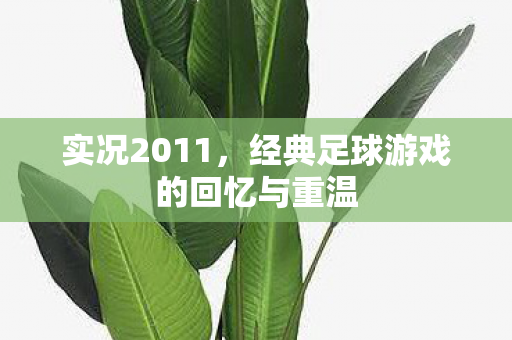 实况2011，经典足球游戏的回忆与重温