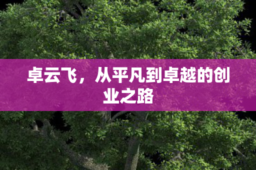 卓云飞，从平凡到卓越的创业之路